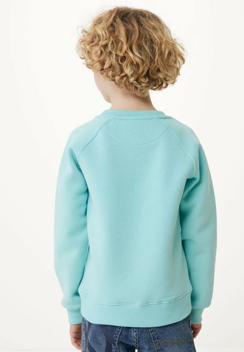 MEXX natikače - MEXX umjetničko djelo džempera s okruglim izrezom plava B4DB899 dječaci